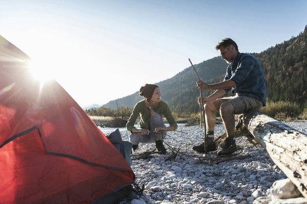 Comment organiser un camping pour observer les oiseaux migrateurs en zone humide?